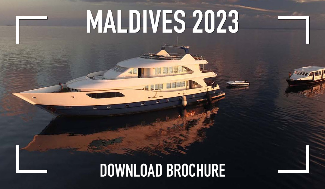 Maldives 2013